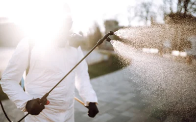 Articles 10 Effects of Environmental Estrogen on the Body