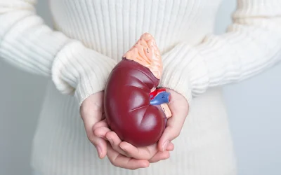 Articles 2 Kidney Health