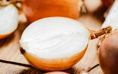 Articles 2 Knowing What’s Going on inside us Could Help in Preventing Disease